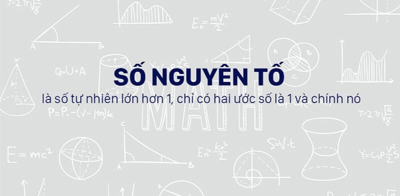 bi-mat-so-nguyen-to-huong-dan-toan-dien-tu-a-den-z-cho-nguoi-moi-bat-dau-truyenfullcv-com-23-1