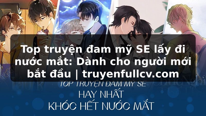 Truyện Tranh Top truyện đam mỹ SE lấy đi nước mắt: Dành cho người mới bắt đầu | truyenfullcv.com