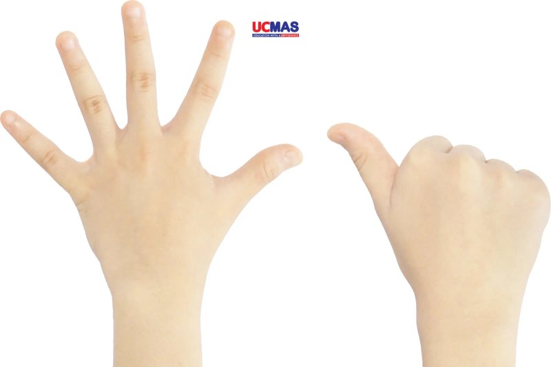 ucmas-finger-math-soroban-phuong-phap-nao-phu-hop-voi-con-ban-truyenfullcv-com-23-2